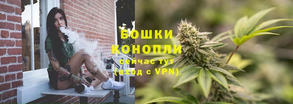 молекула духа Волоколамск