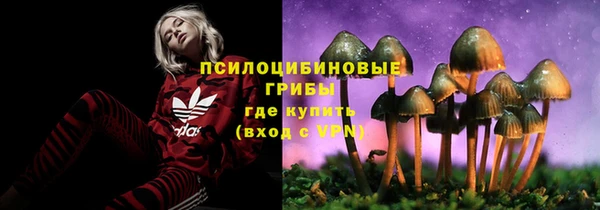 первитин Струнино